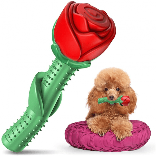 Jouets à Mâcher pour Chiens, Jouets pour Chiens Durables pour les Mâcheurs Agressifs, Jouets en Caoutchouc pour Chiots en Caoutchouc Naturel, Jouets en Caoutchouc pour Chiens Interactifs