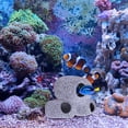 thumbnail image 3 of Shrimp Aquarium Hideaway Decorative Cave Fish Tank Accessory 2pcs, 3 of 9