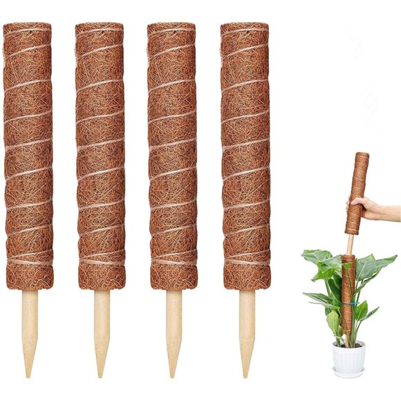 Plant Support Sticks