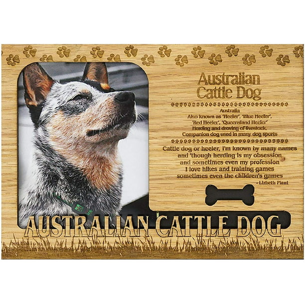 Australian Cattle Dog Engraved Wood, Engraved Wooden Photo Frames Australia