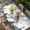 SteelBlue White, variant on Blue Snowman Christmas Table Cloths for 3 Foot Rectangle Tables, Xmas Snowflake Eucalyptus Leaves Rustic Patio Waterproof Elastic Fitted Tablecloths, Washable Rectangular Table Cover for Camping