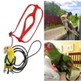thumbnail image 3 of Arnés para pájaros y loros para mascotas, correa ajustable para pájaros, arnés volador, cuerda de tracción con ala bonita para loros, juguete de entrenamiento al aire libre M negro, 3 of 4