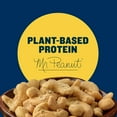 thumbnail image 5 of (4 pack) PLANTERS Cashews Rosemary & Sea Salt, Party Snacks, Plant Based Protein, 5 oz Bag, 5 of 15
