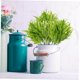 thumbnail image 5 of unbranded 6Ud Ramo De Flores Artificiales Verde Para De Hogar Y, 5 of 8