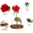 thumbnail image 5 of Rosa Eterna Rosa Encantada, Adorno de Escritorio de Navidad de Rosa Encantada, Pantalla de Lámpara de Vidrio LED de Rosa Falsa - para Decoración del Hogar de la Oficina de Bodas, Regalo para Esposa Rojo Verde, 5 of 5