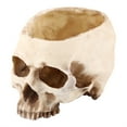 thumbnail image 1 of 1 Pce Pot de Fleurs en Résine Design Tête de Skull Décoration, 1 of 1
