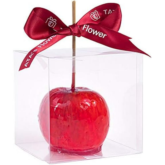 Clear Candy Apple Boxes with Hole 4"x 4"x 4" Transparent Favor Boxes Set of 20 Food-Grade Treat  for Caramel Apples Cake Pops Cookies Chocolates (Clear, 20)