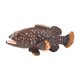 thumbnail image 5 of Figuras de Perca de Juguete de Animales Marinos Simulados Strade Fareast Limited, 5 of 8