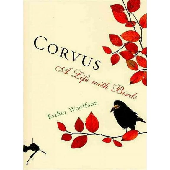 Corvus : A Life with Birds (Paperback)