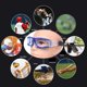 thumbnail image 5 of deportivas profesionales para regatear, de baloncesto ligeras archivadas panorámica antideslizante, para fútbol, hombres, , Azul Macarena Gafas de regate, 5 of 8