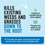 Roundup Dual Action Weed and Grass Killer Plus 4 Month Preventer with QuickHand, 1.5L