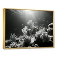 thumbnail image 2 of Designart "Monochrome Seashore Coral Array I" Coastal Coral Under Water Floater Framed Wall Decor, 2 of 5