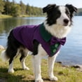 thumbnail image 4 of TIELUTT Elegant Tuxedo with Bow Tie Formal Attire For and Pet Clothes Rack Hanger Pet Clothes for Large Dogs Girl Pet Clothes for Small Dogs Pet Clothes for Small Dogs Male Pet Clothes for Small Dogs, 4 of 7
