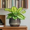 thumbnail image 5 of Ordivicd 6 inch Dark Reactive Glaze Round Ceramic Planter Pot with Drainage Hole & Saucer, Small Indoor Succulent Cactus Plant Pot for Home Windowsill Decor, Gift for Plant Lovers Women, 5 of 8