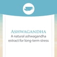 thumbnail image 4 of Natural Factors Stress-Relax KSM-66 Ashwagandha 600 mg, 30 Vegetarian Capsules, 4 of 9