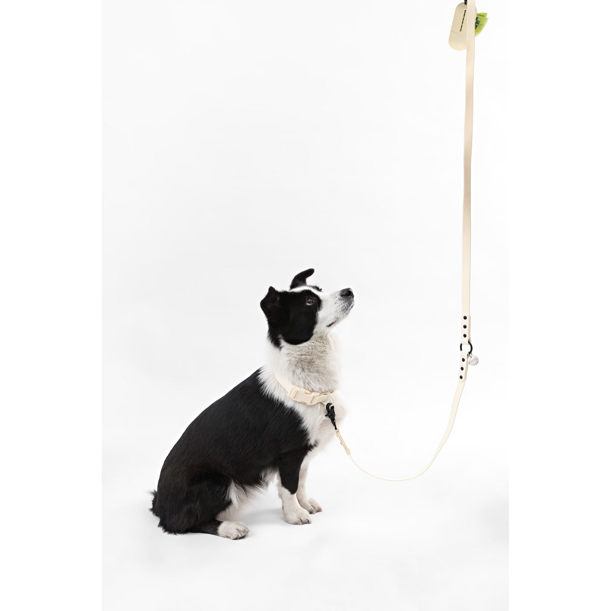THE LICKER STORE Luna Large 8FT Adjustable 6-in-1 Waterproof Hands-Free Leash and Collar with LED Flashlight, Bag Dispenser, and Poop Bag Holder, Almond, WLK1006L-5SET
