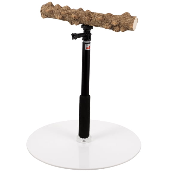 CTIRCHIU Parrot Toy Training Stand With Stable Base Adjustable Height Wood Metal 1 Set