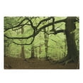 thumbnail image 1 of Woodland Cutting Board, English Woodland Scene with Sun Rays Though the Trees Mother Nature Theme, Decorative Tempered Glass Cutting and Serving Board, Large Size, Green Brown, by Ambesonne, 1 of 1