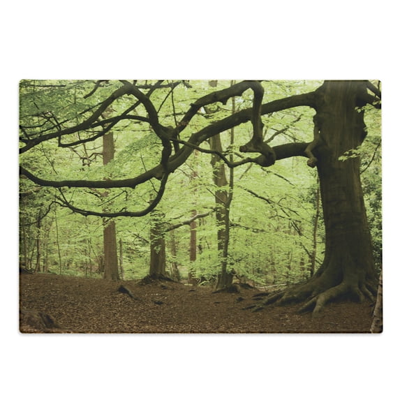 Woodland Cutting Board, English Woodland Scene with Sun Rays Though the Trees Mother Nature Theme, Decorative Tempered Glass Cutting and Serving Board, Large Size, Green Brown, by Ambesonne