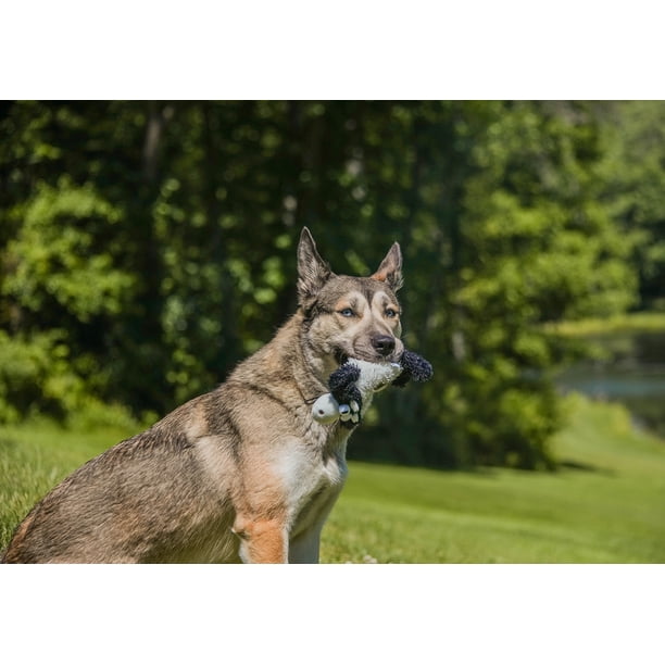 新品 Real Mad Hectic ヘクティク グリーンパンサー ぬいぐるみ 新品 Real Mad Hectic ヘクティク グリーンパンサー ぬいぐるみ - メルカリ