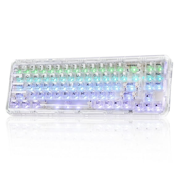 YUNZII X71 Wireless Hot Swappable Transparent Mechanical Keyboard with Clear Keycaps, 68% Layout, BT5.0/2.4G/USB-C Gasket Mount Wireless RGB Backlit for Window