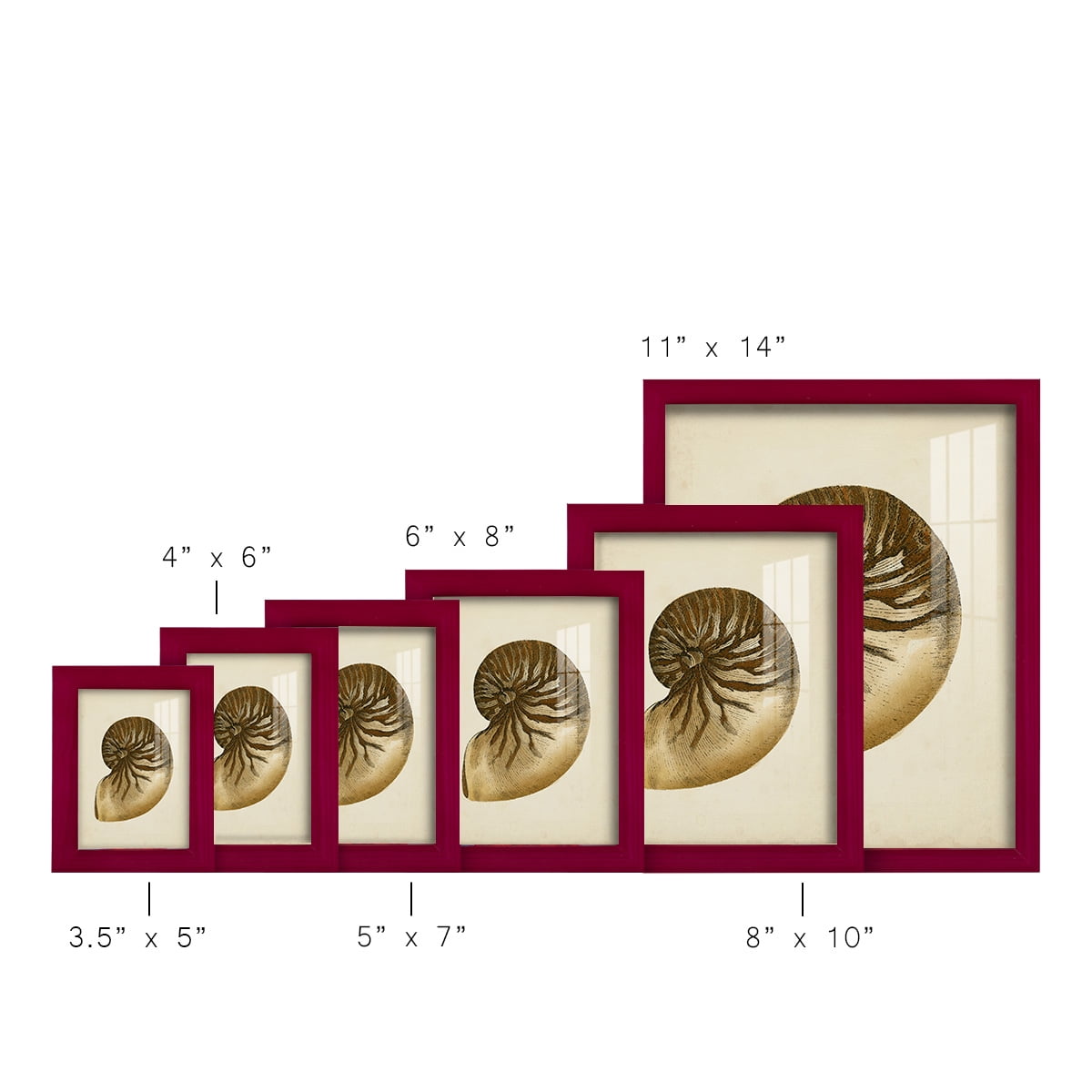 Sealife Collection V - Framed Print w/glass - Cherry Red