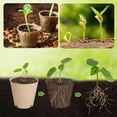 thumbnail image 3 of Macetas Redondas para Vivero de Plantas con Orificios de Drenaje, Bandejas de de Semillas Pequeñas una Granel, Contenedores Biodegradables para Brotes de Jardín-L, 3 of 7