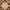 Brown/Green, variant on SAFAVIEH Antiquity Toireasa Oriental Wool Area Rug, Blue, 4' x 6'