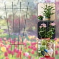 thumbnail image 5 of 2Pcs Trellis 15.8 in Iron Growing Support Weather Resistant Climbing Rack Garden Decorative Tools for Indoor Outdoor Vines Flower Vegetable, 5 of 10