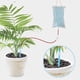 thumbnail image 3 of Bewildely Alimentador de agua para plantas y flores de 2/3L, dispositivos de riego automático, Kit de riego de jardín con bolsa de agua, herramienta de Jardín y Patio 2L Bewildely HA2270-01, 3 of 6
