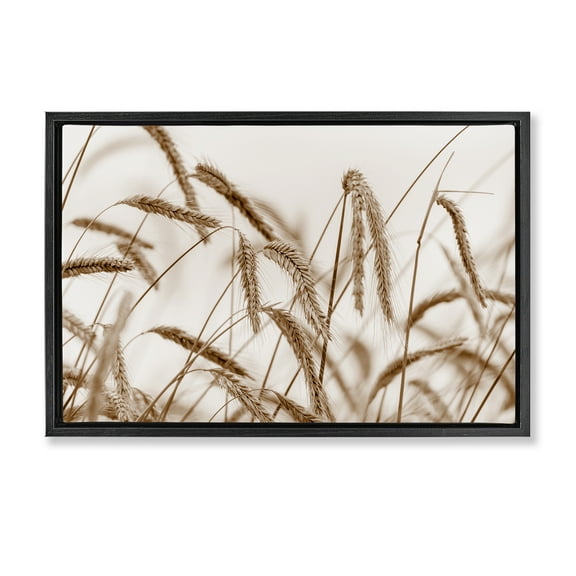 Stupell Industries Windswept Wheat Sprigs Plants & Flowers Photography Black Floater Framed Canvas Art Print Wall Art, 25 x 17
