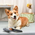 thumbnail image 2 of Hugsmart Pterosaur Dog Plush Toy, 2 of 6
