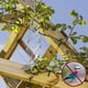 thumbnail image 1 of Xihbxyly Reflectores Repelentes de Aves, Molinetes de Mylar Brillante, Dispositivo Disuasorio Ecológico, Decoración para Jardín, Se Activan con El Viento, Fácil Instalación, Paquete de 3, 15.8 Pulgad, 1 of 5
