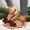 Brown, variant on Womens Bow Decorated Ankle Strap Flat Beach Sandals, Adjustable Slip On Summer Casual Shoes for Vacation Garden Party Daily Wear