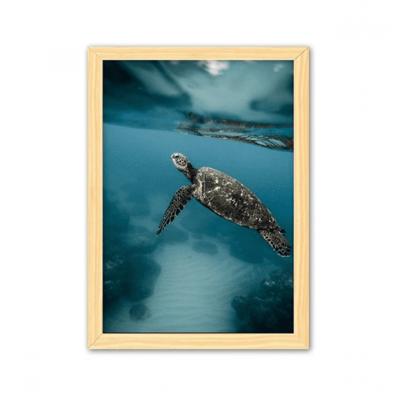 Ocean Sea Turtle Science Nature Picture Decorative Wooden Painting Home Decoration Picture Frame A4