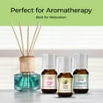 thumbnail image 3 of Good Essential Oils Good Essential Sweet Scents Fragrance Oil Set 10 Pack Bulk Holiday Gift Oils for Aromatherapy Diffusers, Candle, 3 of 6
