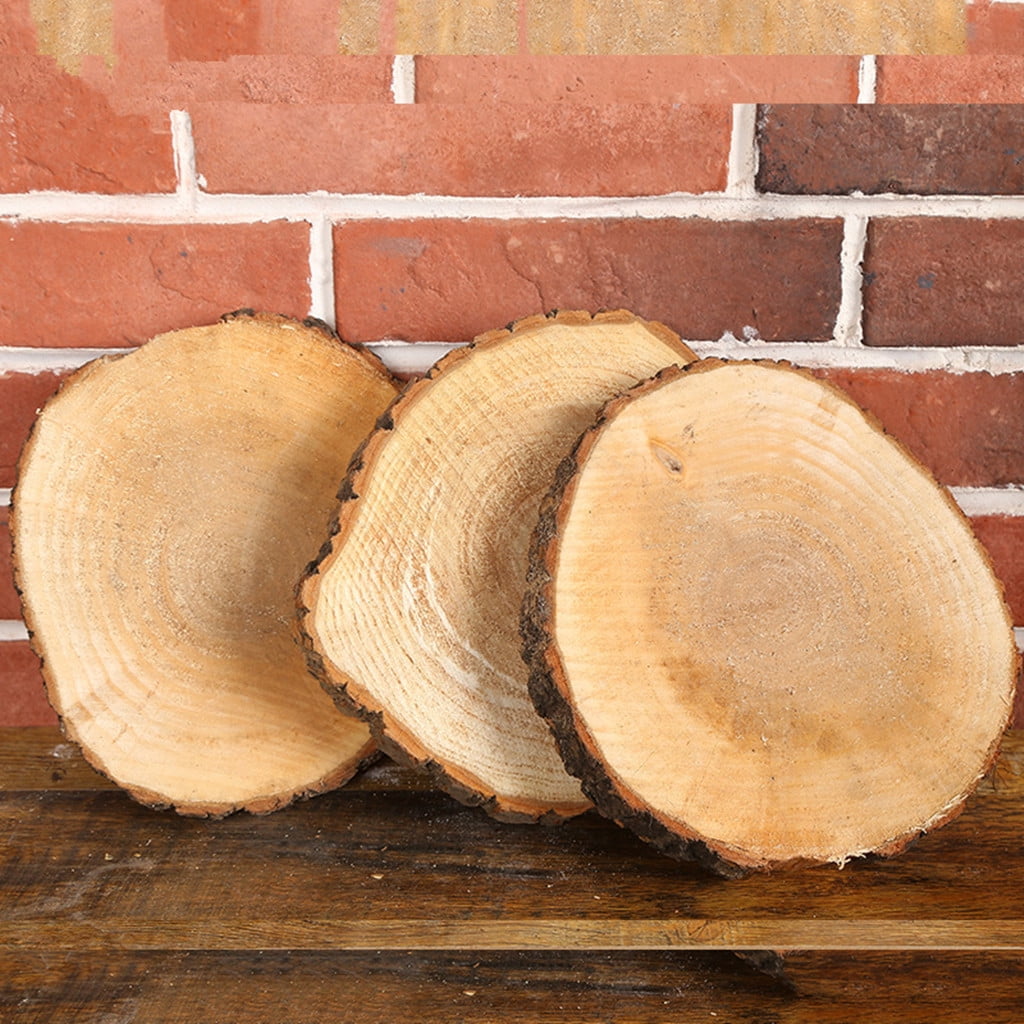 WHOLESALE 2-10CM Birch Wood Log Slices Discs Round Wedding Rustic ECO Crafts 