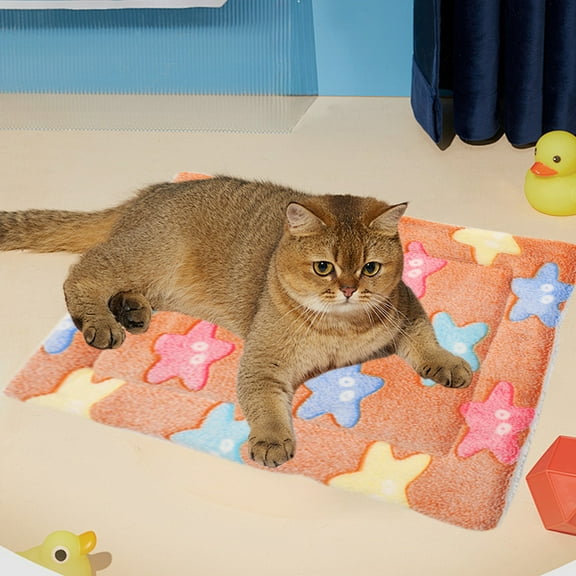 Isvgxsz Pets Cat Bed Dog Crate Pad Ultra Soft Pet Bed with Cute Print Washable Crate Mat for Small Dogs and Indoor Cats Reversible Fleece Dog Kennel Pad Cat Carrier Mat