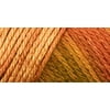 Bulk Buy: Caron Simply Soft Ombres Yarn (3-Pack)