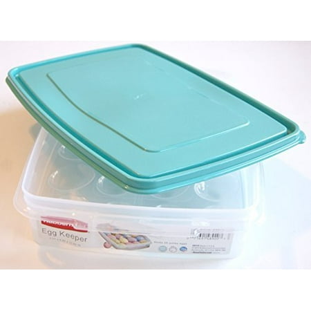 Rubbermaid Deviled Egg Keeper Tray Food Storage Container Hold 20 Jumbo Eggs (Green Teal) WLM8 3910