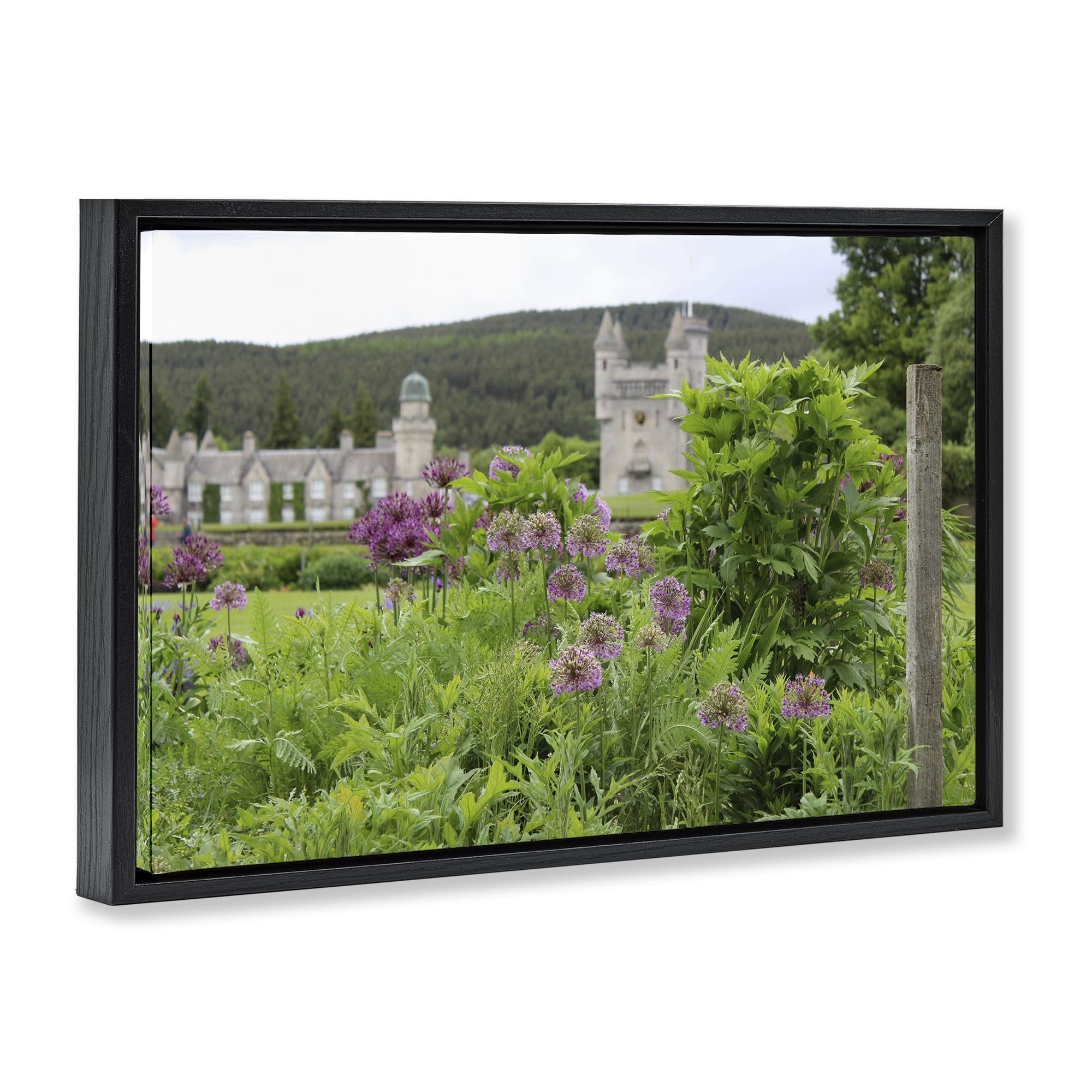 Stupell Industries Distant Castle View Landscape & Nature Photography Black Floater Framed Canvas Art Print Wall Art, 31 x 21