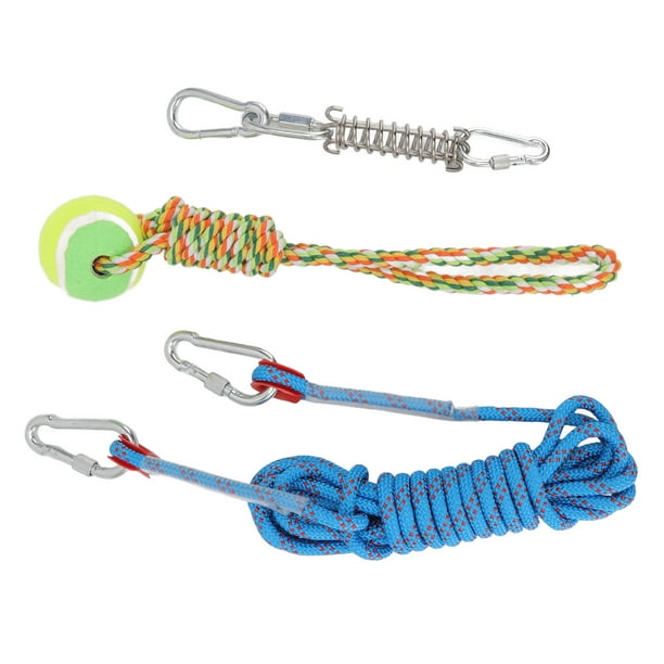 Dog top bungee rope