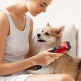 thumbnail image 3 of Animal Grooming Animal Grooming Electric Clippers Professional pet hair clipper teddy hair clipper dog shaver rechargeable clipper cat hair clipper beauty cross-border, 3 of 6