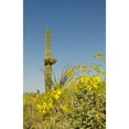 thumbnail image 3 of Popcorn 10x14 Black Modern Framed Museum Art Print Titled - Desert Scape 3, 3 of 5