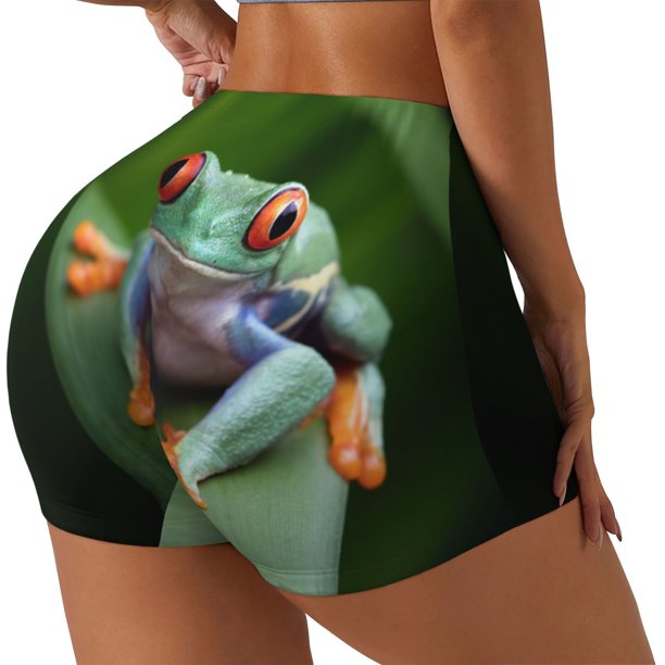 Balery Red-Eyed Tree Frog Pantalones cortos de entrenamiento estampados para mujer, sin costuras, ajustados, para gimnasio, yoga, correr, deportes, ejercicio activo, fitness.-Large