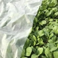 thumbnail image 3 of Agfabric Floating Row Cover Plant Blanket - 0.55oz 12x25ft for Frost Protection and Terrible Weather Resistant, 3 of 6