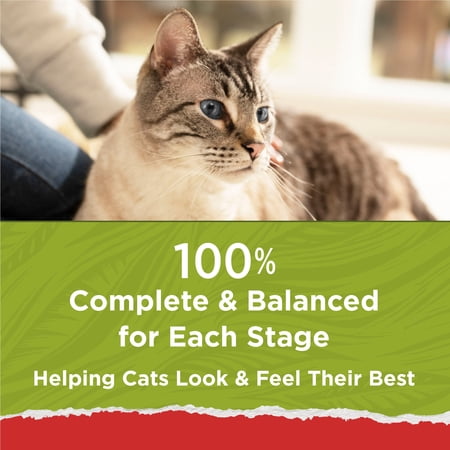 Purina Cat Chow Naturals Chicken & Salmon Original Dry Cat Food, 13 lb Bag - Image 3