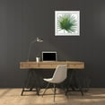 thumbnail image 3 of Penner, Janelle 12x12 White Modern Wood Framed Museum Art Print Titled - Welcome to Paradise XVI on White, 3 of 4