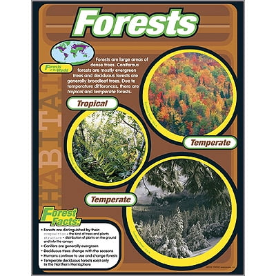Forests Learning Chart 17x22 [T38148]
