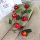 thumbnail image 3 of Bayas de rosa mosqueta artificiales Simulación Granada Fruta Floral Árbol de Navidad Guirnalda Decoración (Rojo) WD.WDQZL Hogar, 3 of 9